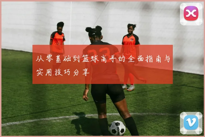 从零基础到篮球高手的全面指南与实用技巧分享
