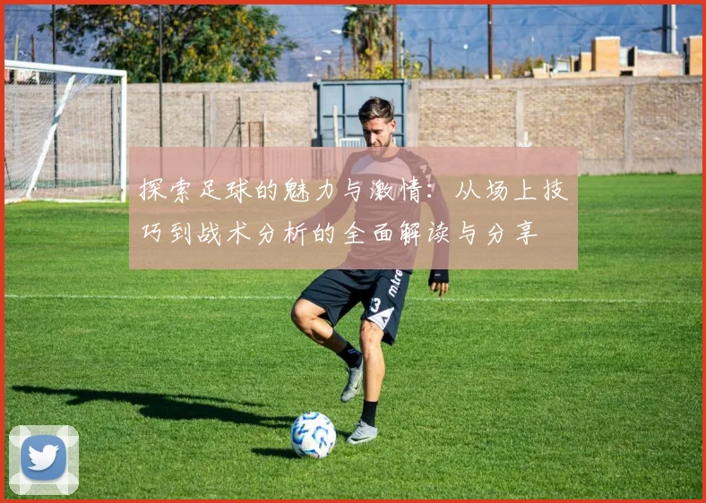 探索足球的魅力与激情：从场上技巧到战术分析的全面解读与分享