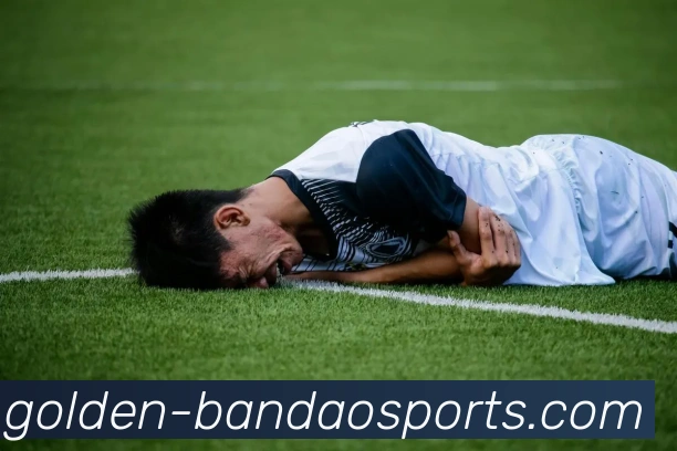 半岛体育APP 高清赛事图